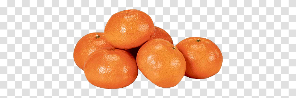 Clementine 500g Rangpur, Citrus Fruit, Plant, Food, Orange Transparent Png