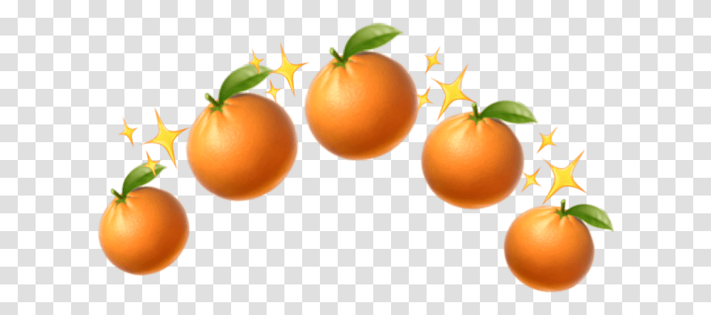 Clementine, Citrus Fruit, Plant, Food, Orange Transparent Png