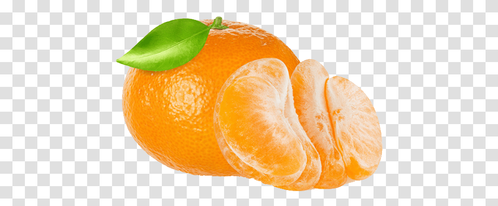 Clementine Elite Fruits Tangerine, Citrus Fruit, Plant, Food, Orange Transparent Png