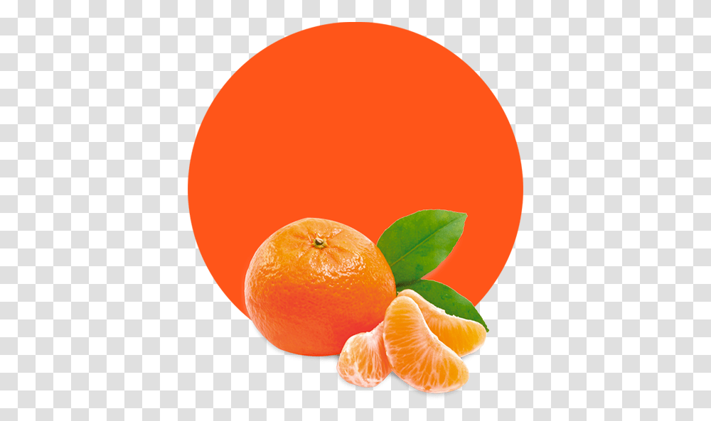 Clementine Oil Orange Fruit, Citrus Fruit, Plant, Food, Grapefruit Transparent Png