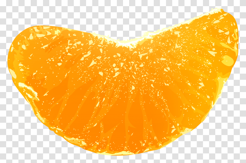 Clementine Tangerine Orange Clip Art Tangerine, Plant, Citrus Fruit, Food, Fungus Transparent Png