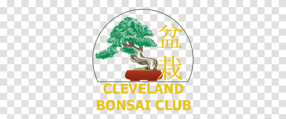 Cleveland Bonsai Club Summer Show Rockefeller Park Tree, Potted Plant, Vase, Jar, Pottery Transparent Png