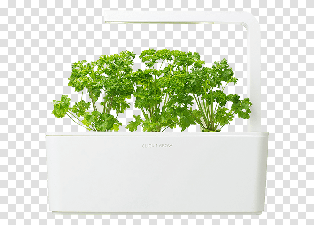 Click And Grow Smart Garden, Plant, Vase, Jar, Pottery Transparent Png