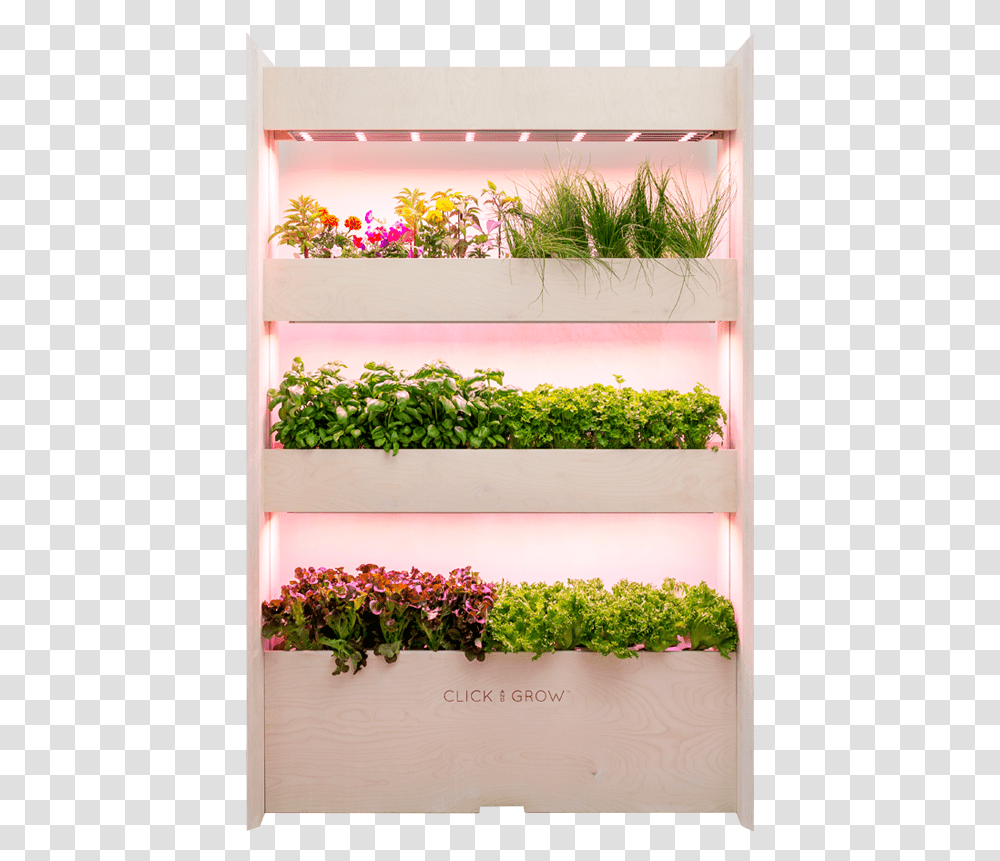 Click And Grow Wall Farm, Plant, Potted Plant, Vase, Jar Transparent Png