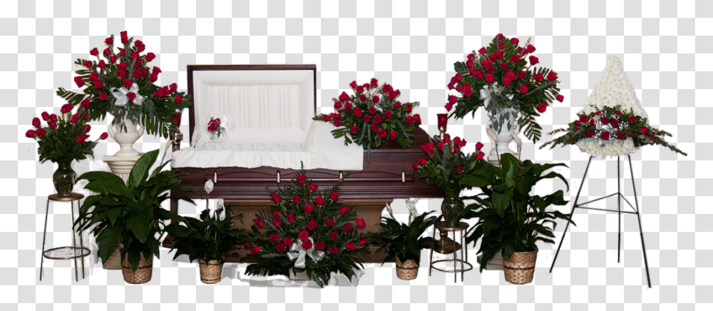 Click To Enlarge Bougainvillea, Funeral, Plant, Flower, Blossom Transparent Png