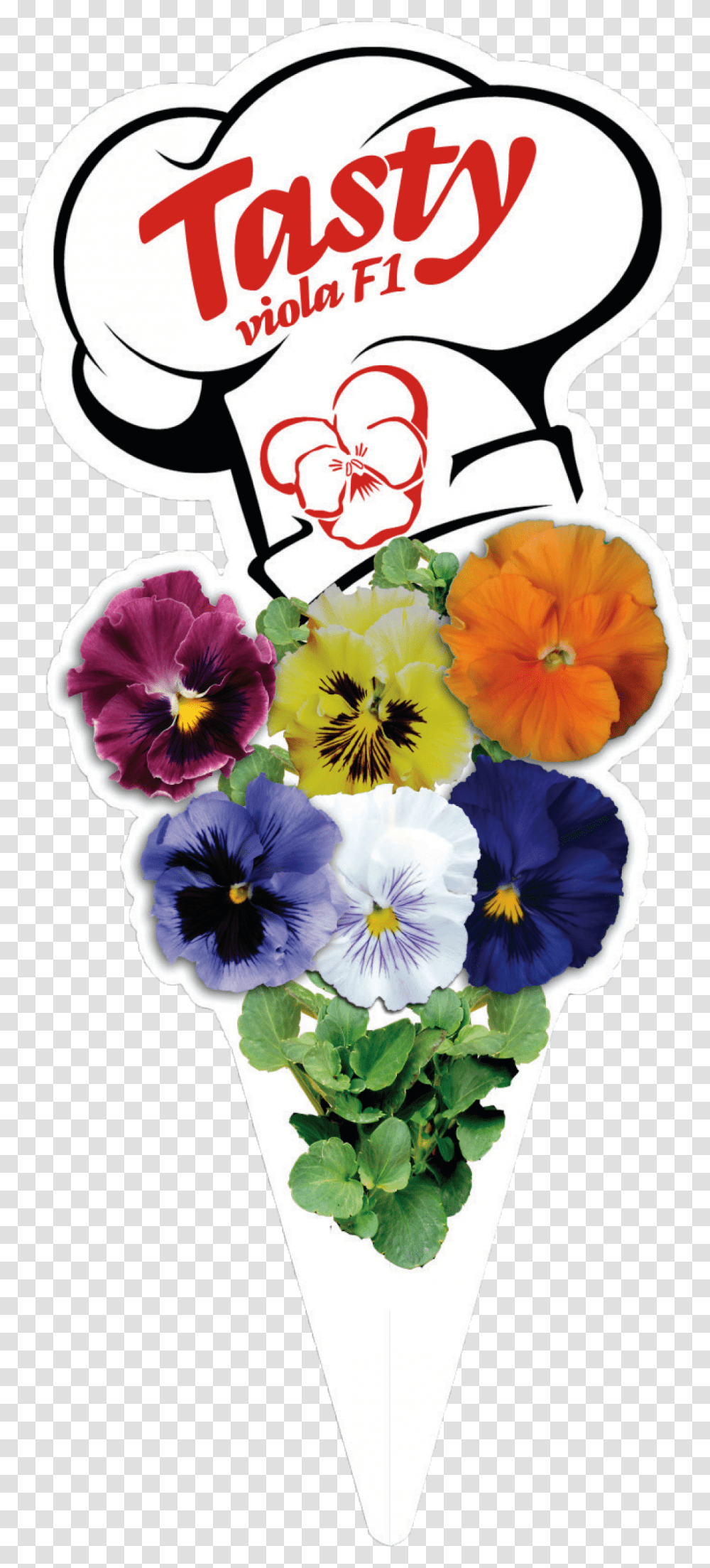 Click To Enlarge Image 5 V Copyright Marda Pansy, Plant, Flower, Blossom, Petal Transparent Png