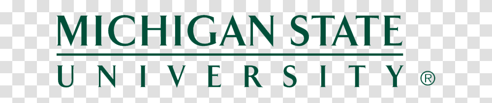 Client Success Story Michigan State University Ngdata, Word, Home Decor, Label Transparent Png
