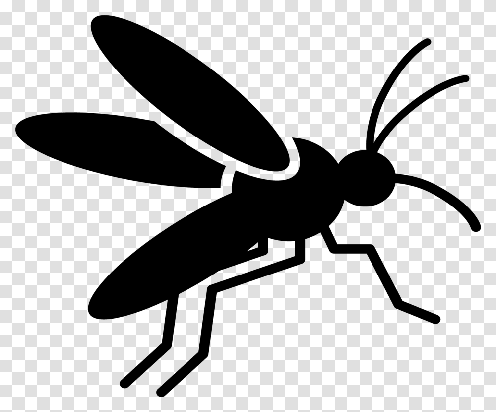 Climate Change Mosquito Borne Diseases Vermont Vector Borne Diseases Icon, Gray, World Of Warcraft Transparent Png