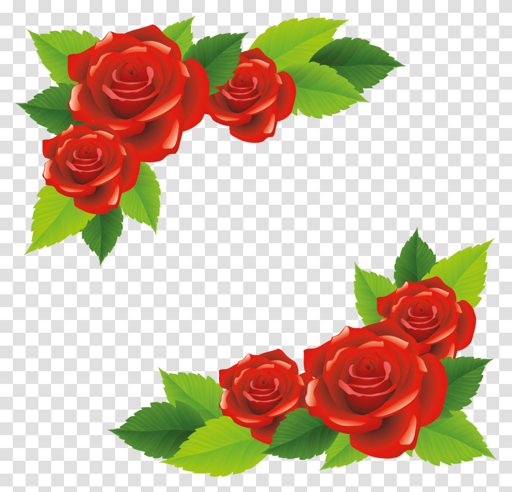 Climbing Roses Clipart, Flower, Plant, Blossom Transparent Png
