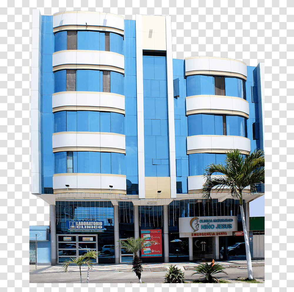 Clinica Jesus De Nazareth Machala, Office Building, Tree, Plant, Urban Transparent Png