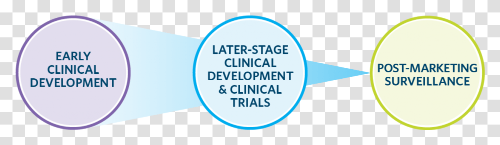 Clinical Drug Dev Web Graphic Bkgd Discovery And Preclinical, Word, Label, Alphabet Transparent Png