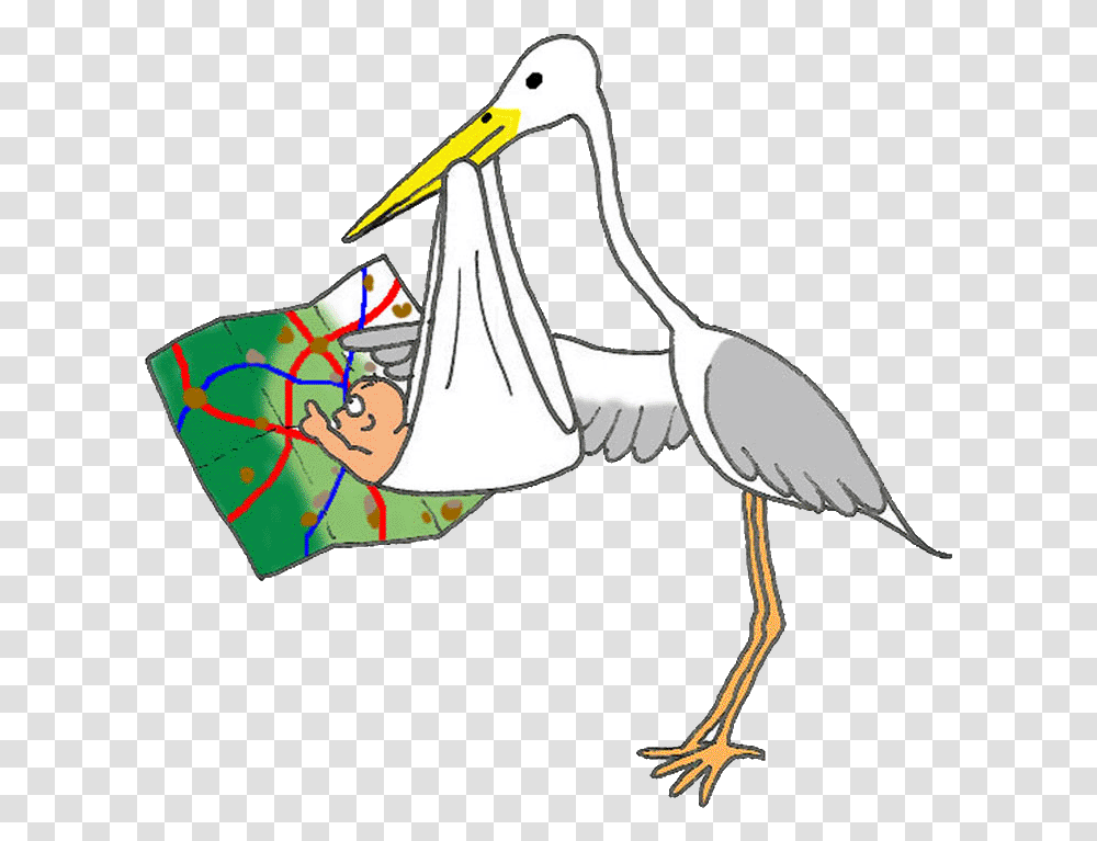 Clinical Hypnotherapy In Edinburgh From Alan J Hedges Stork And Baby Ivf, Bird, Animal, Pelican, Crane Bird Transparent Png
