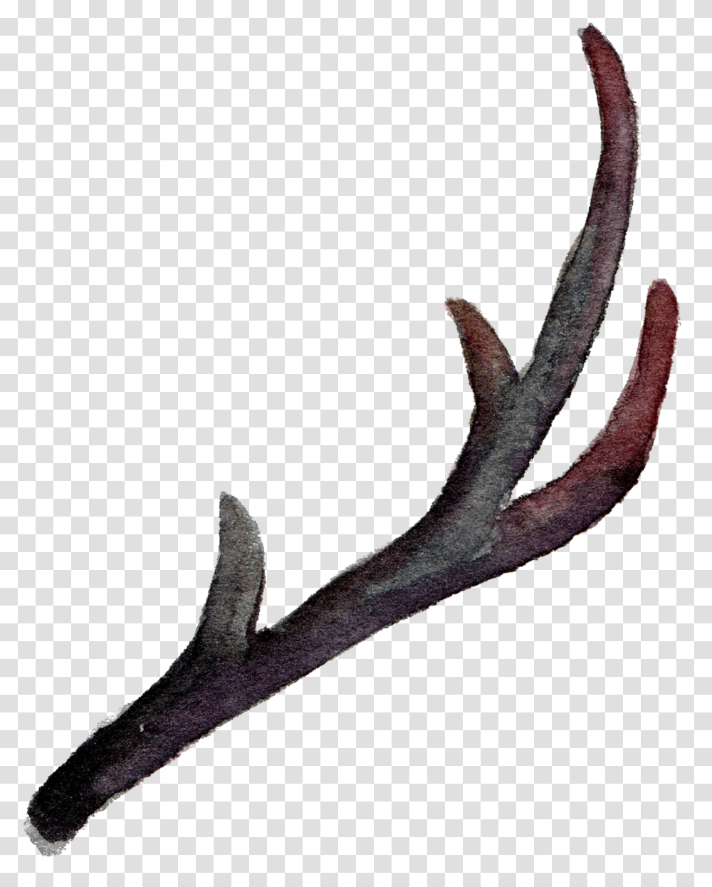 Clip Antler Horn Painting Leaves Falling Element, Lizard, Reptile, Animal Transparent Png