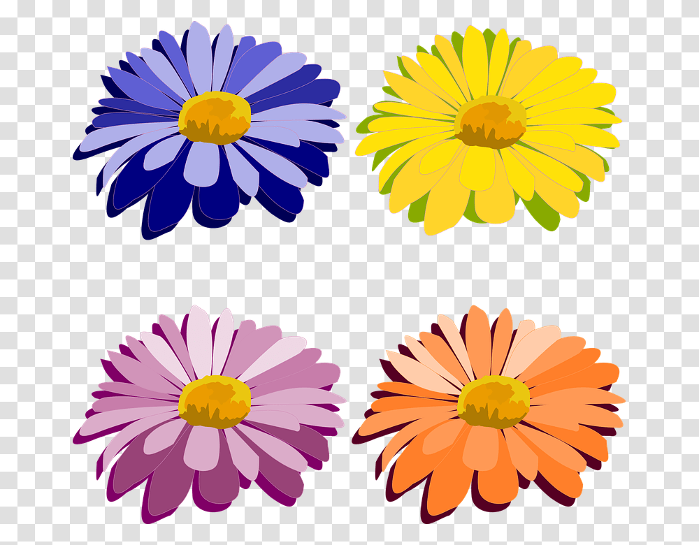 Clip Art 960, Plant, Flower, Blossom, Daisy Transparent Png