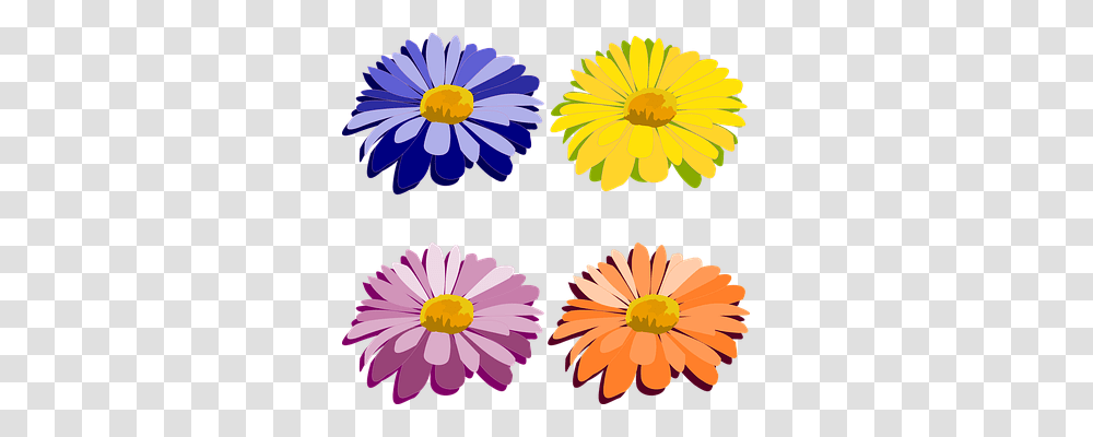 Clip Art Nature, Plant, Daisy, Flower Transparent Png