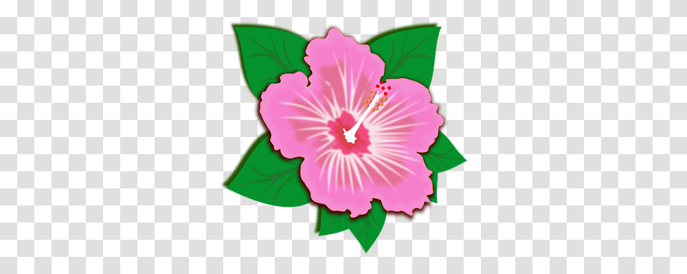 Clip Art Nature, Hibiscus, Flower, Plant Transparent Png