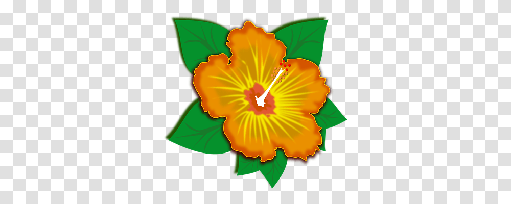 Clip Art Nature, Plant, Hibiscus, Flower Transparent Png