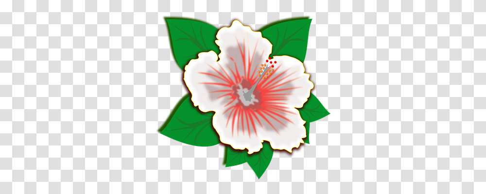 Clip Art Nature, Hibiscus, Flower, Plant Transparent Png