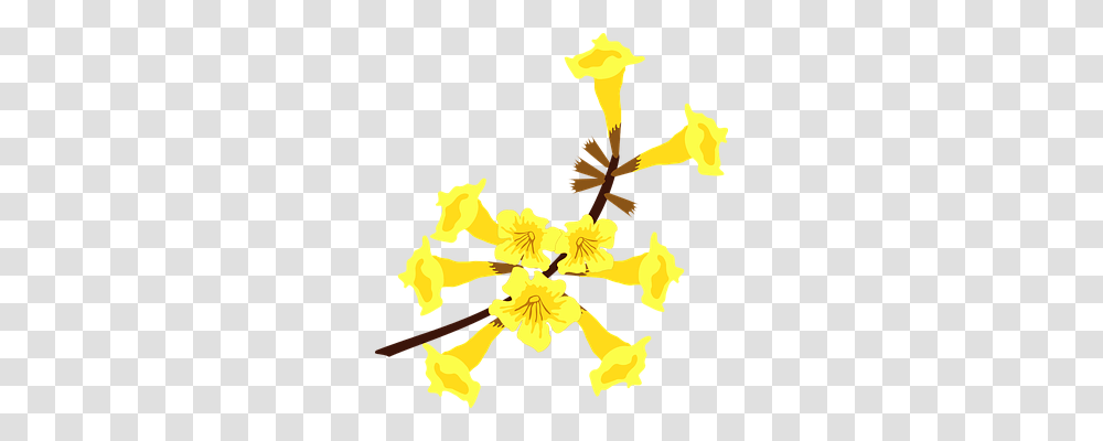 Clip Art Nature, Plant, Flower, Blossom Transparent Png