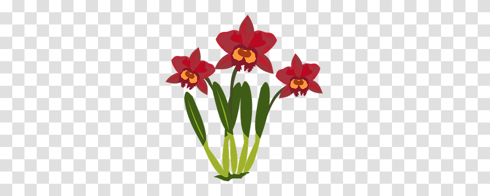 Clip Art Nature, Plant, Flower, Blossom Transparent Png