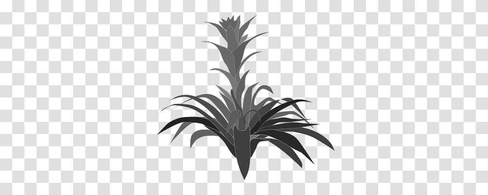 Clip Art Nature, Plant, Tree, Palm Tree Transparent Png