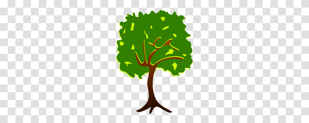 Clip Art Nature, Plant, Tree, Anther Transparent Png