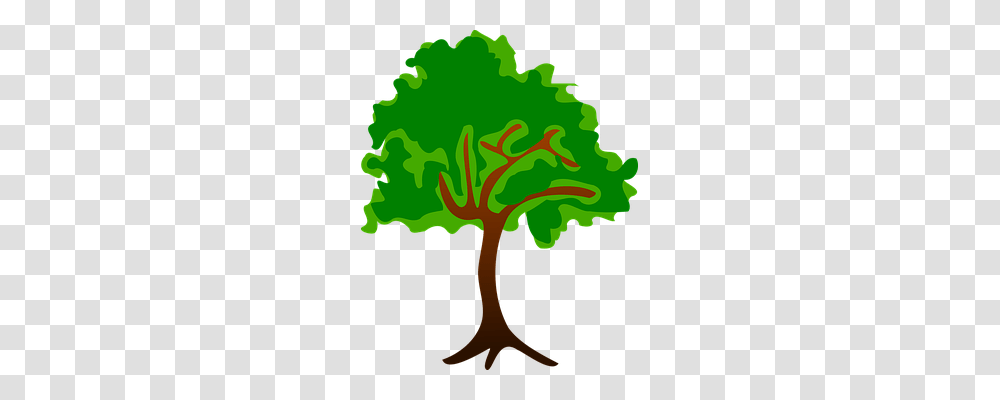 Clip Art Nature, Plant, Leaf, Tree Transparent Png