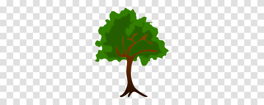 Clip Art Nature, Leaf, Plant, Tree Transparent Png