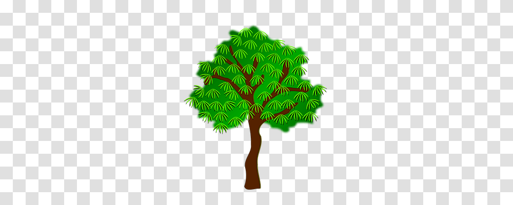 Clip Art Nature, Tree, Plant, Conifer Transparent Png