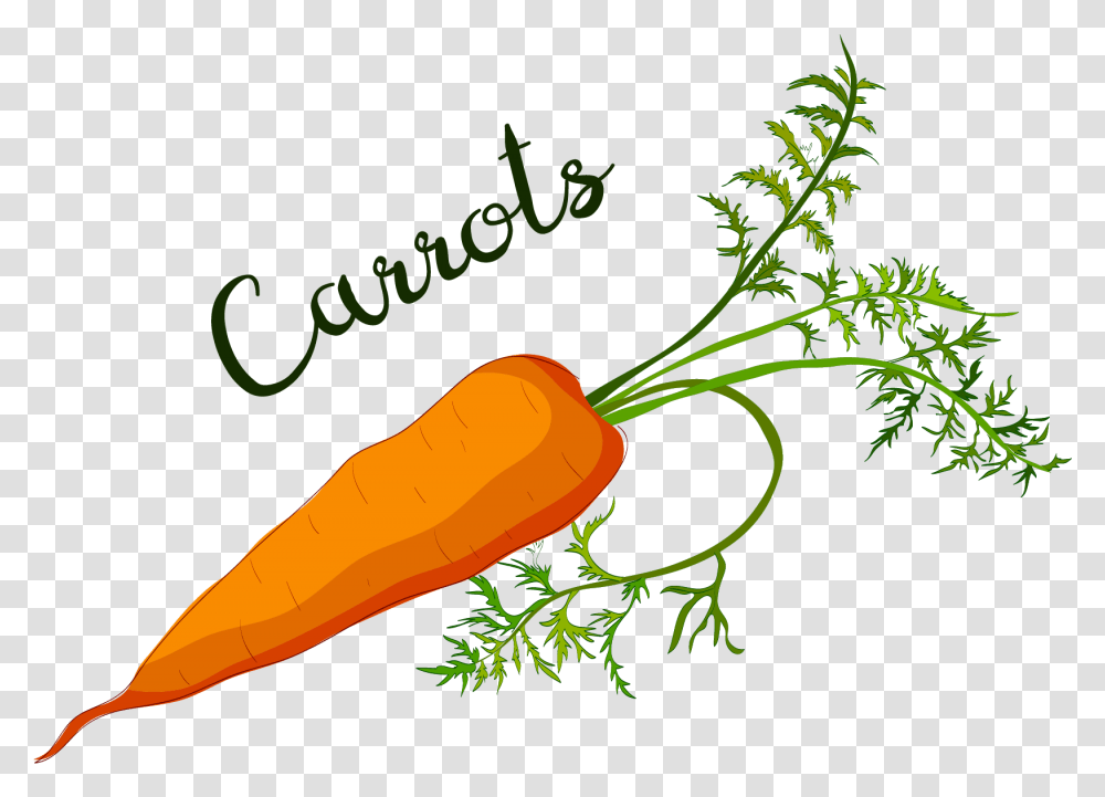 Clip Art 2010, Plant, Carrot, Vegetable, Food Transparent Png