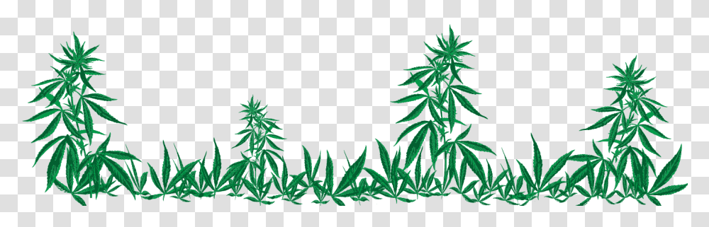 Clip Art 2010, Plant, Hemp, Weed Transparent Png