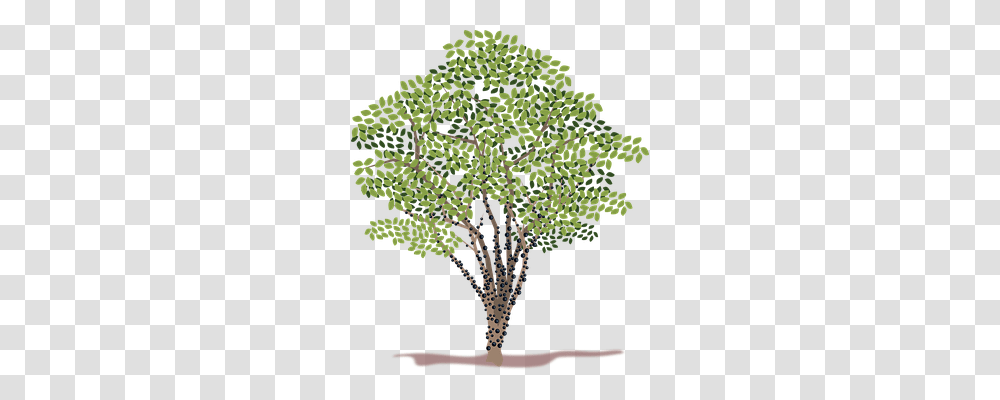 Clip Art Nature, Plant, Leaf, Tree Transparent Png