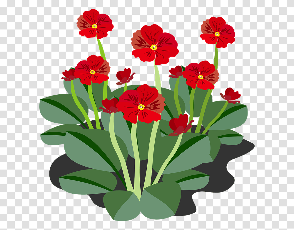 Clip Art 960, Plant, Flower, Blossom, Flower Arrangement Transparent Png