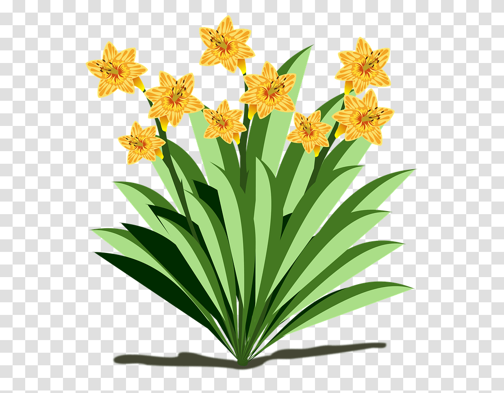 Clip Art 960, Plant, Flower, Blossom, Flower Arrangement Transparent Png