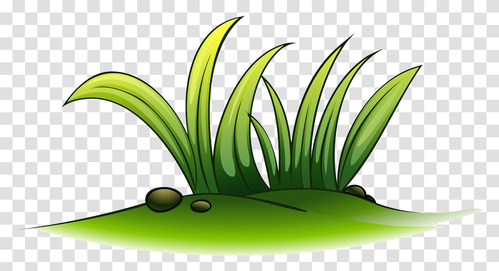 Clip Art A Plant Of Grass Transprent Grass Clipart, Aloe, Banana, Fruit, Food Transparent Png