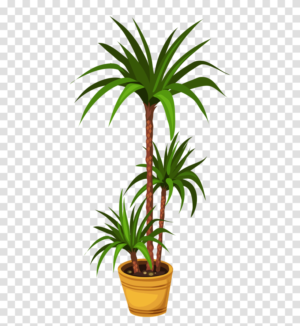 Clip Art And Album, Palm Tree, Plant, Arecaceae Transparent Png