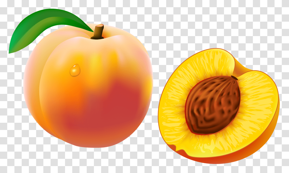 Clip Art And Album, Plant, Fruit, Food, Apricot Transparent Png