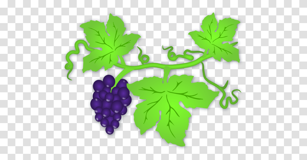 Clip Art And Grapevine Trellis Clipart, Plant, Leaf, Grapes, Fruit Transparent Png