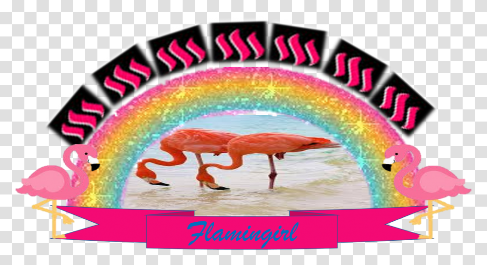 Clip Art, Animal, Flamingo, Bird Transparent Png