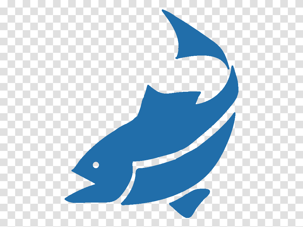 Clip Art, Animal, Sea Life, Shark Transparent Png