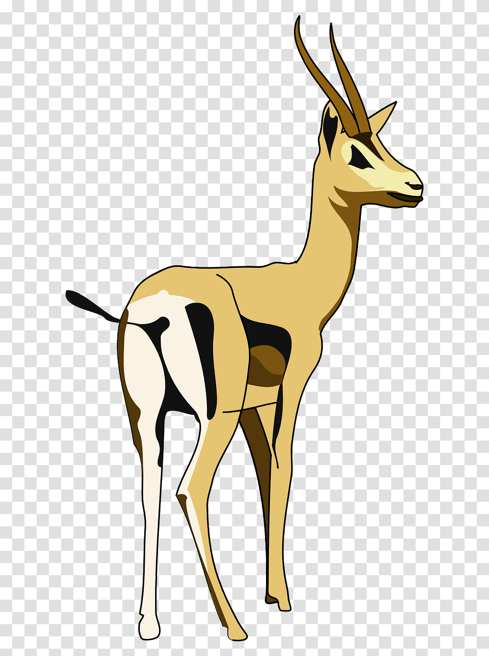 Clip Art, Antelope, Wildlife, Mammal, Animal Transparent Png