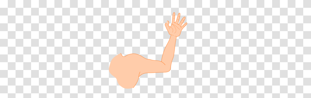 Clip Art Arm, Hand, Person, Human, Finger Transparent Png