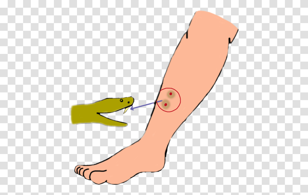 Clip Art, Arm, Injection, Person, Human Transparent Png