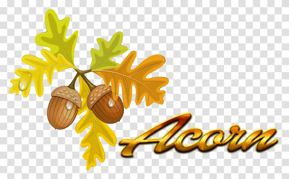 Clip Art Autumn Color Quercus Cerris, Plant, Grain, Produce, Vegetable Transparent Png