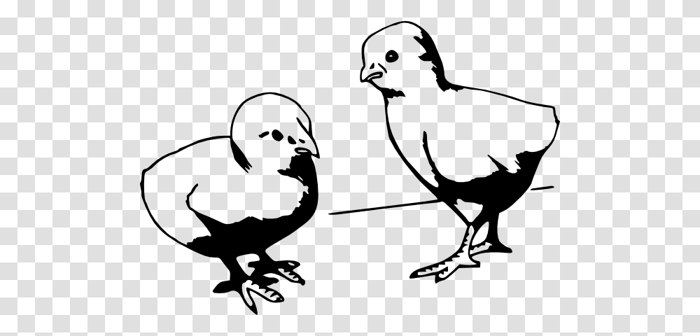 Clip Art Baby Chicken Clipart Black And White, Stencil, Bird, Animal, Poultry Transparent Png
