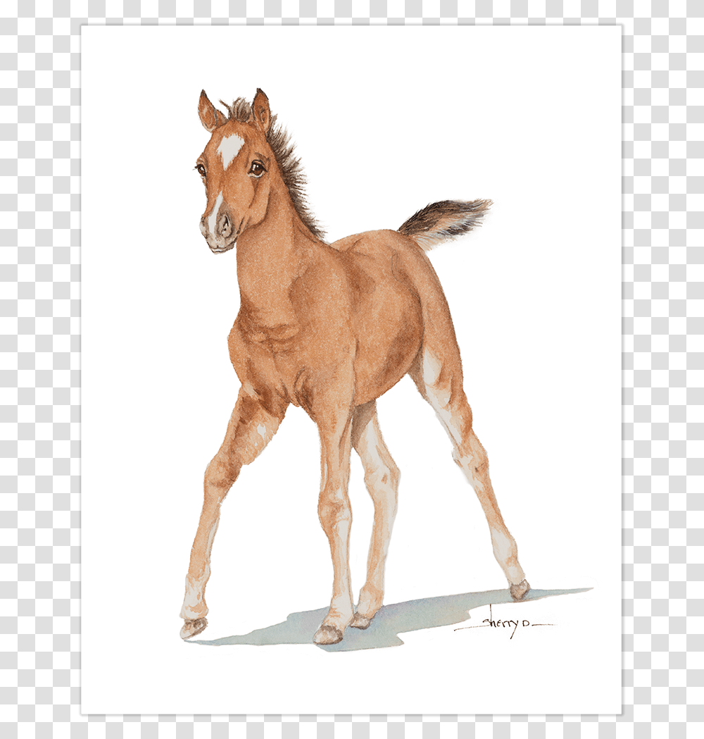 Clip Art Baby Horse Baby Horse, Mammal, Animal, Foal, Dog Transparent Png