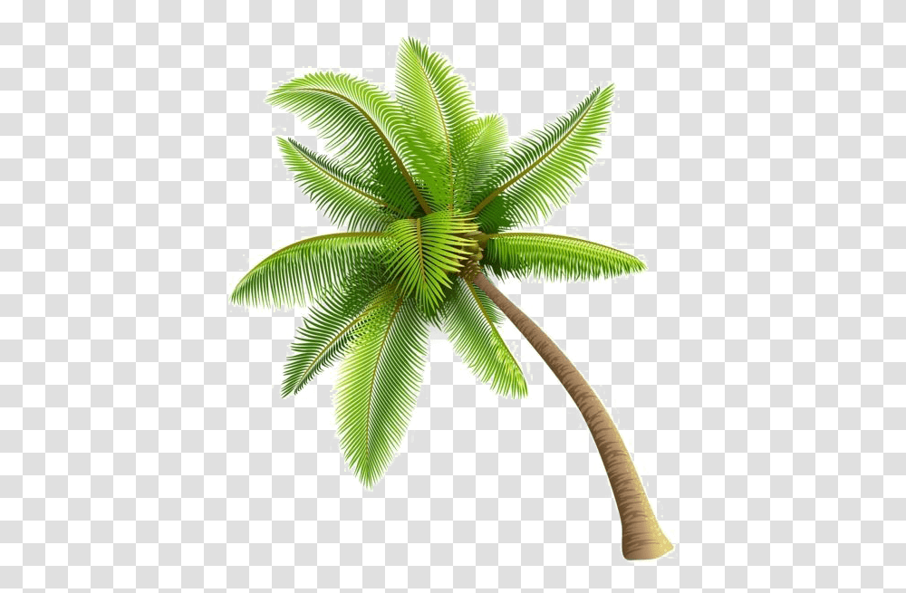 Clip Art Background Coconut Tree, Plant, Palm Tree, Arecaceae, Leaf Transparent Png