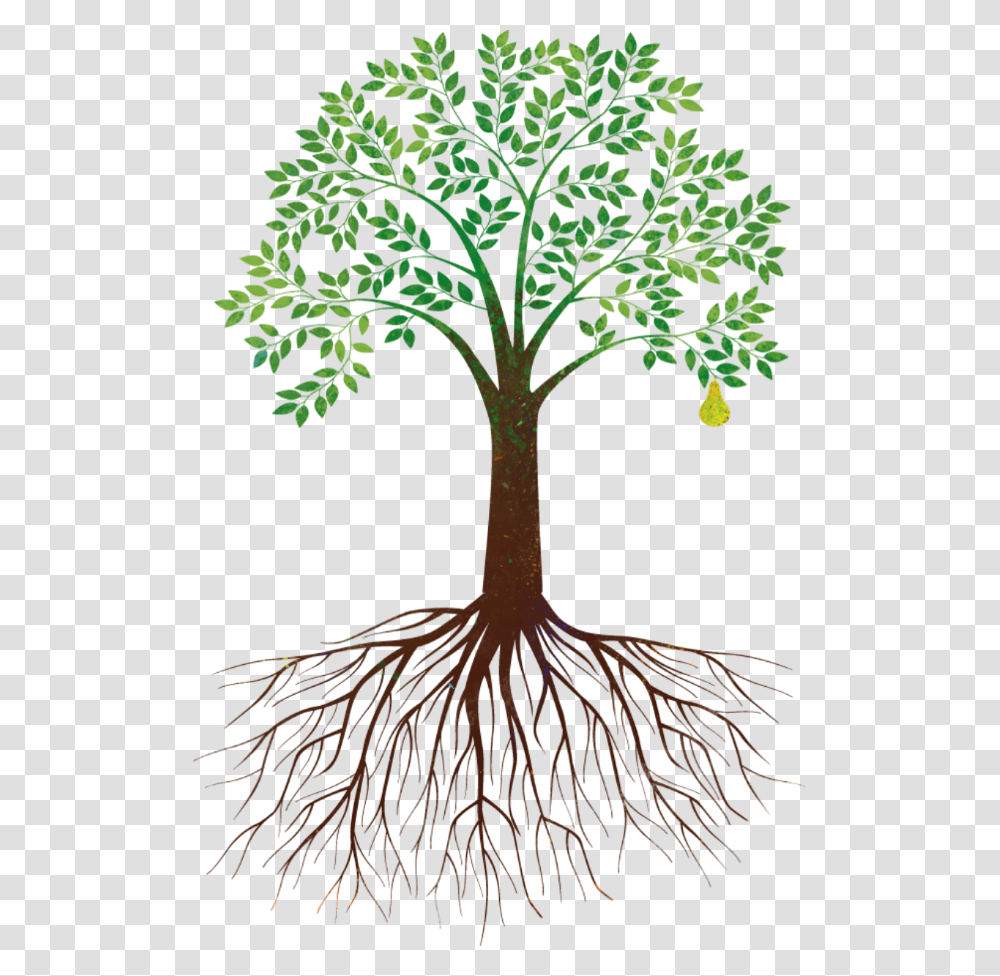 Clip Art Background Tree Of Life, Plant, Root, Bird, Animal Transparent Png