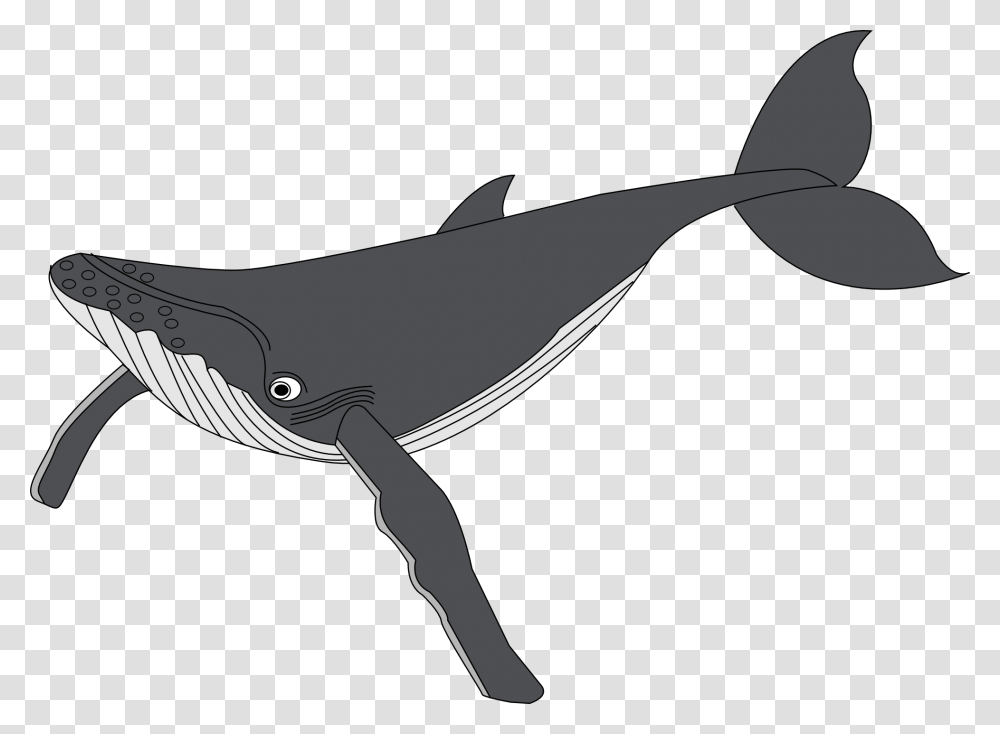 Clip Art Baleine Whale Hd Photos Clipart Humpback Whale Clipart, Animal, Sea Life, Fish, Shark Transparent Png