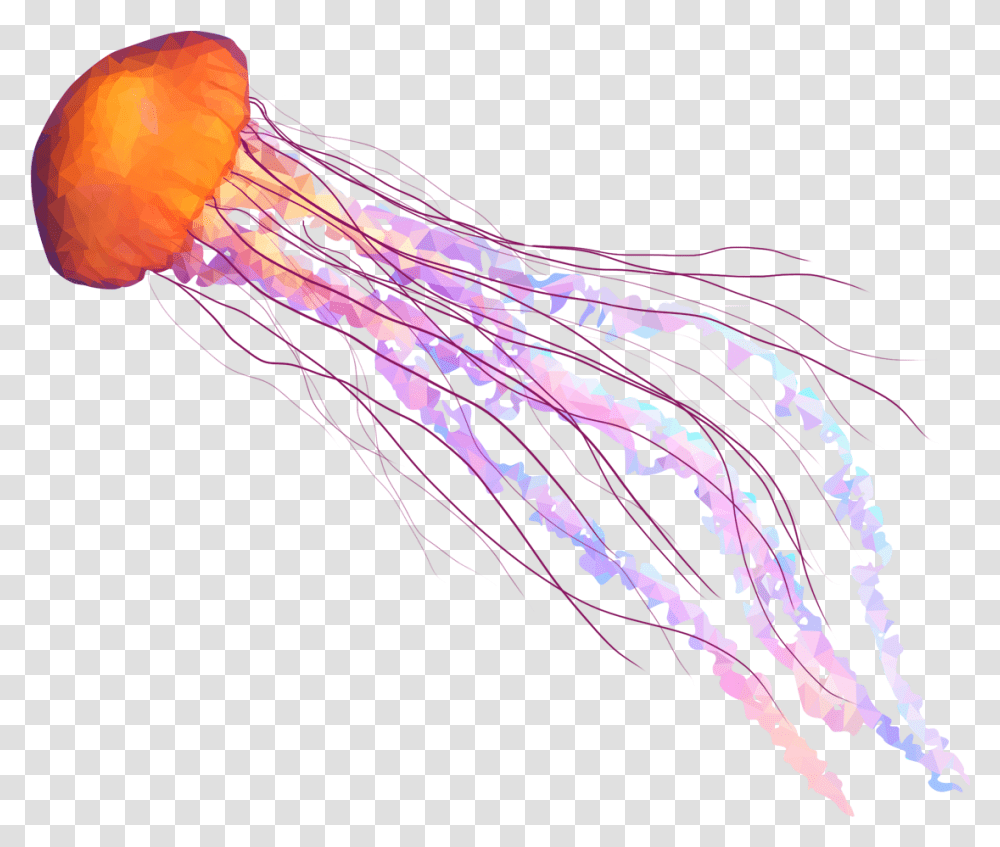 Clip Art Banner Stock Jellyfish, Sea Life, Animal, Invertebrate, Purple Transparent Png